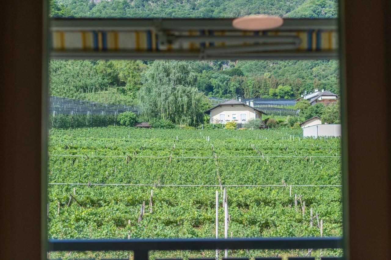 Bed and Breakfast Haus Stolz Appiano Sulla Strada Del Vino Esterno foto
